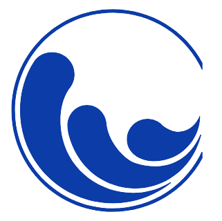 LOGO CoSi Change kevisual freigestellt